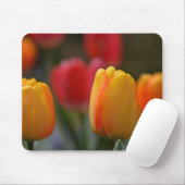 Der Frühling in Farben Mousepad (Mit Mouse)