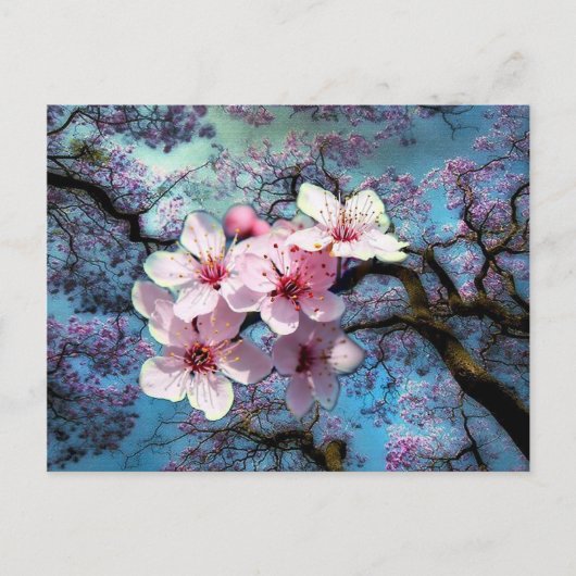 Der Frühling ist angekommen Postkarte (Vorderseite)