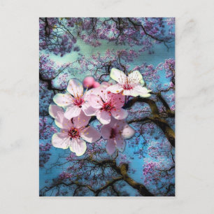 Der Frühling ist da Blumen Postkarte