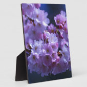 Der Frühling ist da! Fotoplatte (Seite)