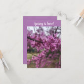 Der Frühling ist da! Grußkarte Karte (Vorderseite/Rückseite Beispiel)