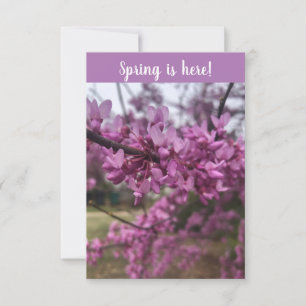 Der Frühling ist da! Grußkarte Karte