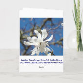 Der Frühling ist da! Grußkarten Weiße Magnolia Tre Karte (Rückseite)