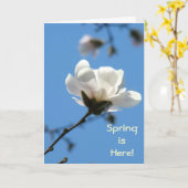 Der Frühling ist da! Grußkarten Weiße Magnolia Tre Karte (Gelbe Blume)