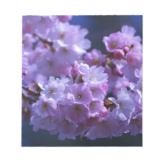 Der Frühling ist da! Notizblock (Vorderseite)