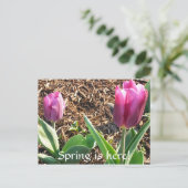 Der Frühling ist da! Postkarte (Stehend Vorderseite)
