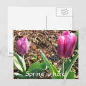 Der Frühling ist da! Postkarte (Vorne/Hinten)