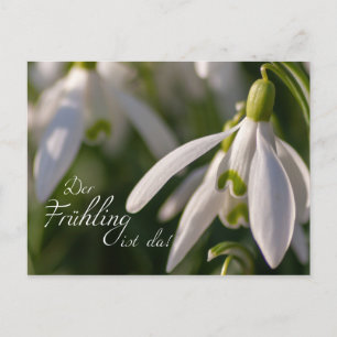 Der Frühling ist da! Postkarte