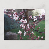 Der Frühling ist entstanden Postkarte (Vorderseite)