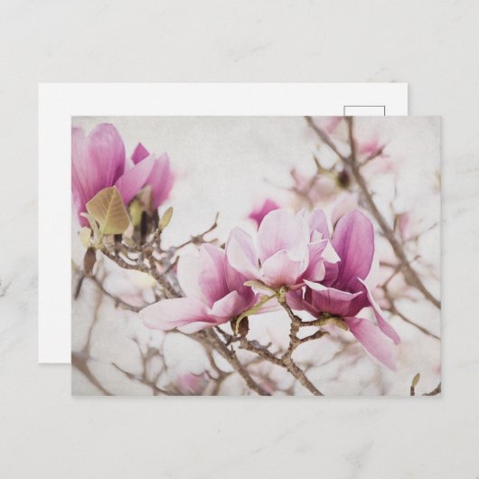 Der Frühling ist in der Luft Postkarte (Vorne/Hinten)