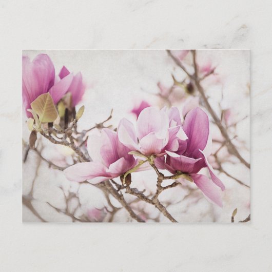 Der Frühling ist in der Luft Postkarte (Vorderseite)