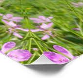 Der Frühling ist zurück! Poster (Ecke)