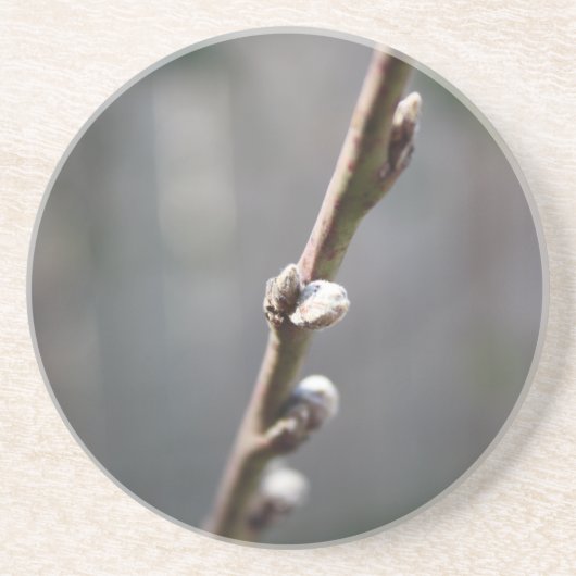 Der Frühling kommt Getränkeuntersetzer (Vorne)