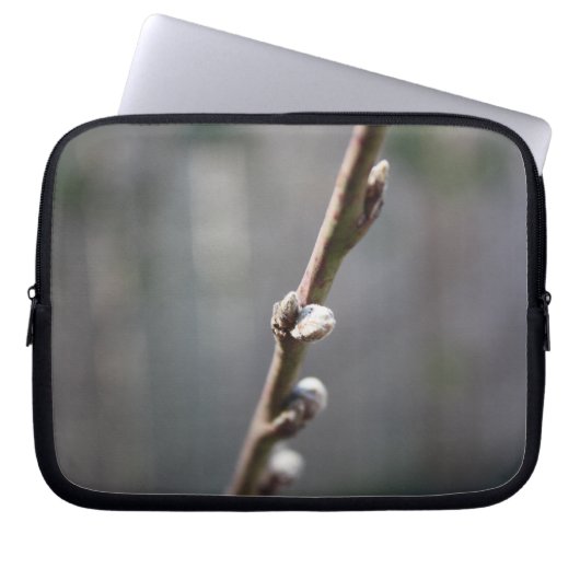 Der Frühling kommt Laptopschutzhülle (Vorderseite)