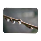 Der Frühling kommt Magnet (Horizontal)