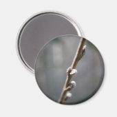 Der Frühling kommt Magnet (Vorderseite/Rückseite)