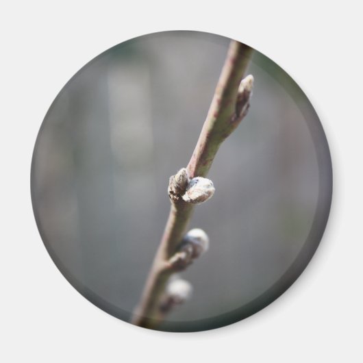 Der Frühling kommt Magnet (Vorne)