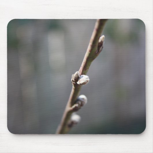 Der Frühling kommt Mousepad (Vorne)