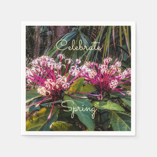 Der Frühling kommt. Papiertaschentuch Serviette (Vorderseite)