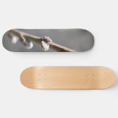 Der Frühling kommt Skateboard (Horizontal)