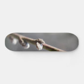 Der Frühling kommt Skateboard (Horizontal)