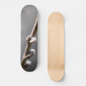 Der Frühling kommt Skateboard (Vorderseite)