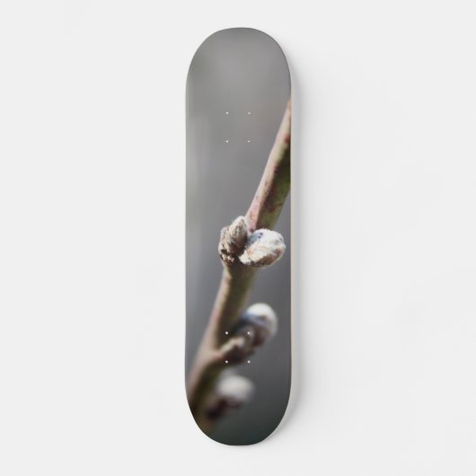 Der Frühling kommt Skateboard (Vorderseite)