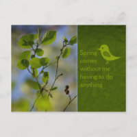 Der Frühling kommt sowieso CC0836 Entspannende Wör