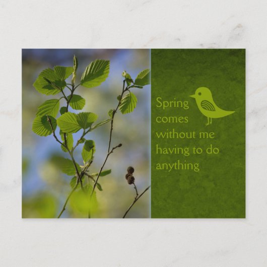 Der Frühling kommt sowieso CC0836 Entspannende Wör Postkarte (Vorderseite)