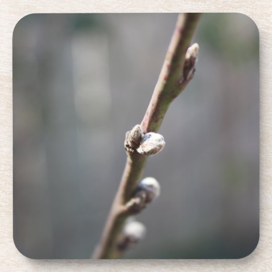 Der Frühling kommt Untersetzer (Vorderseite)