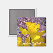 Der Frühling lächelt! Magnete Gelbe Daffodische Bl Magnet (Vorderseite/Rückseite)