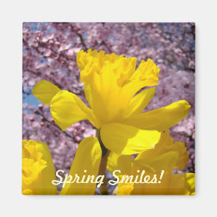 Der Frühling lächelt! Magnete Gelbe Daffodische Bl Magnet