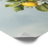 Der Frühling: Lemon Tree Blossom Poster (Ecke)