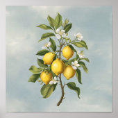Der Frühling: Lemon Tree Blossom Poster (Vorne)