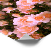 Der Frühling... Poster (Ecke)