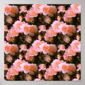 Der Frühling... Poster (Vorne)