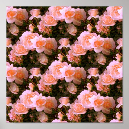 Der Frühling... Poster (Vorne)