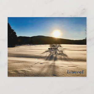 Der Frühling scheint lange weg zu sein Postkarte