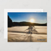 Der Frühling scheint lange weg zu sein Postkarte (Vorne/Hinten)