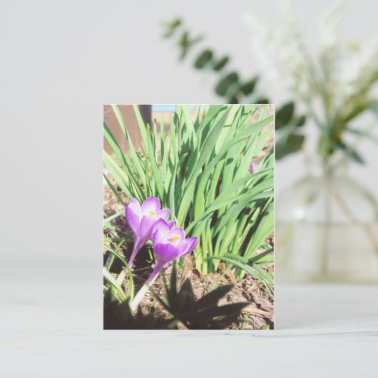 Der Frühlings-Garten der Großmutter Postkarte (Stehend Vorderseite)