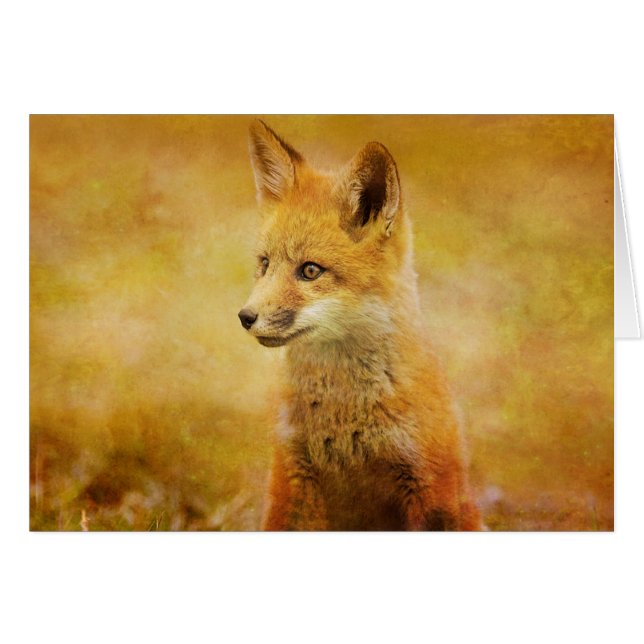 Der Fuchs im Wald (Vorderseite (Horizontal))