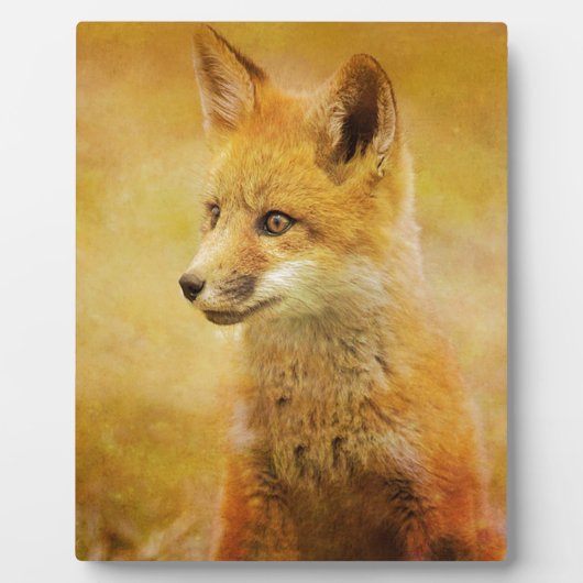 Der Fuchs im Wald Fotoplatte (Vorderseite)