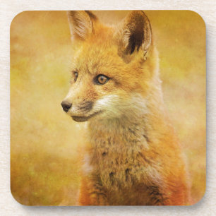 Der Fuchs im Wald Getränkeuntersetzer