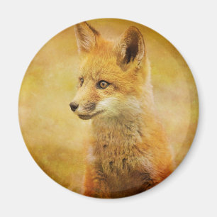 Der Fuchs im Wald Magnet