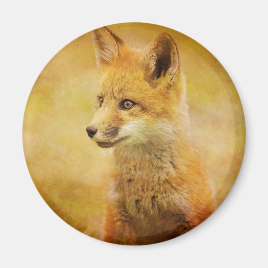 Der Fuchs im Wald Magnet (Vorne)