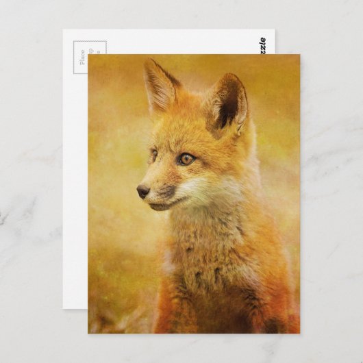 Der Fuchs im Wald Postkarte (Vorne/Hinten)