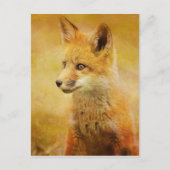Der Fuchs im Wald Postkarte (Vorderseite)