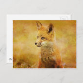 Der Fuchs im Wald Postkarte (Vorne/Hinten)