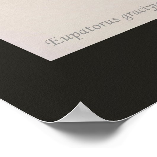 Der Fünf-Hornkäfer Poster (Ecke)