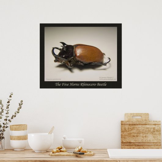 Der Fünf-Hornkäfer Poster (Küche)